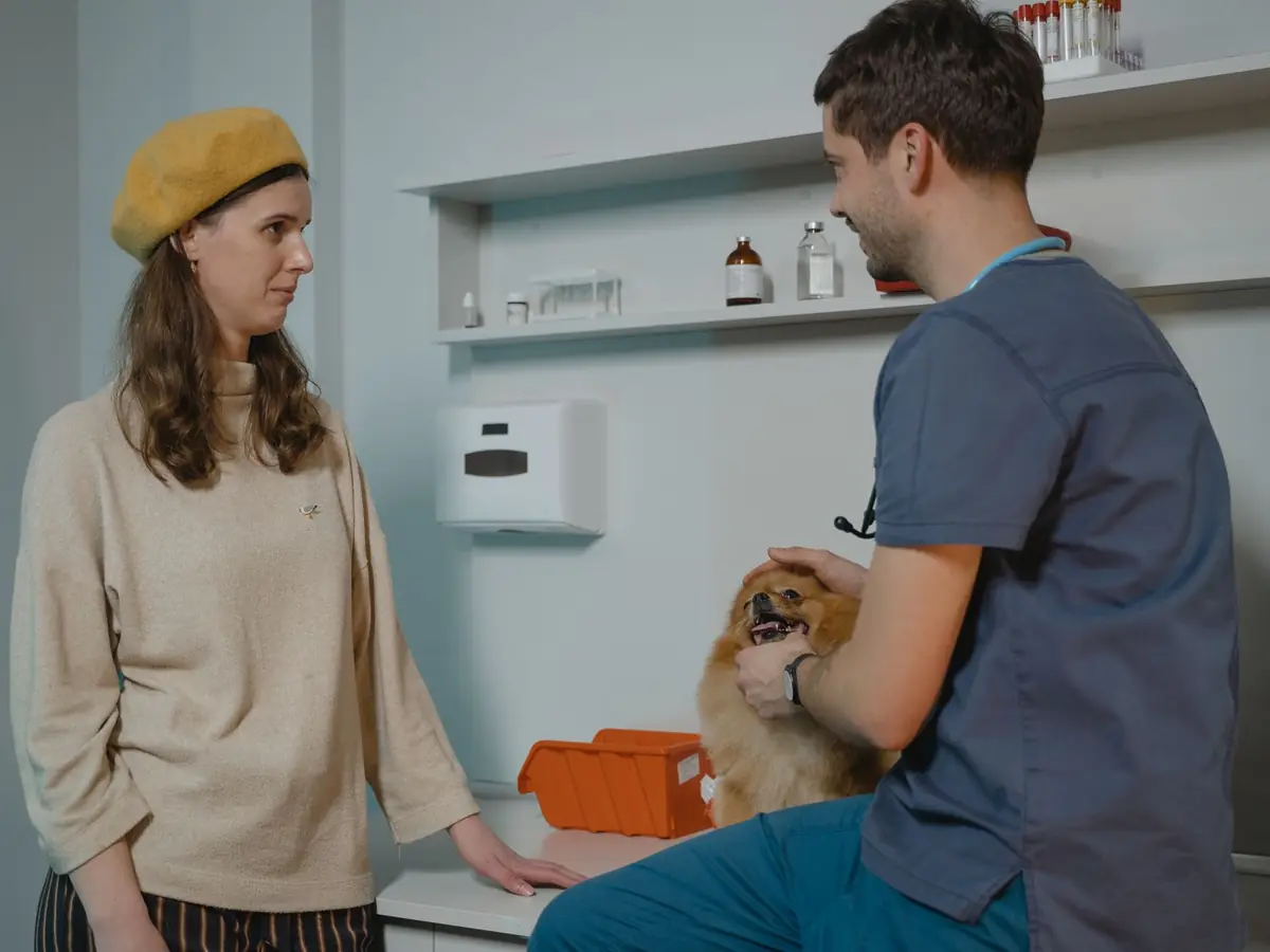 A veterinarian talks with a pet owner while examining her Pomeranian