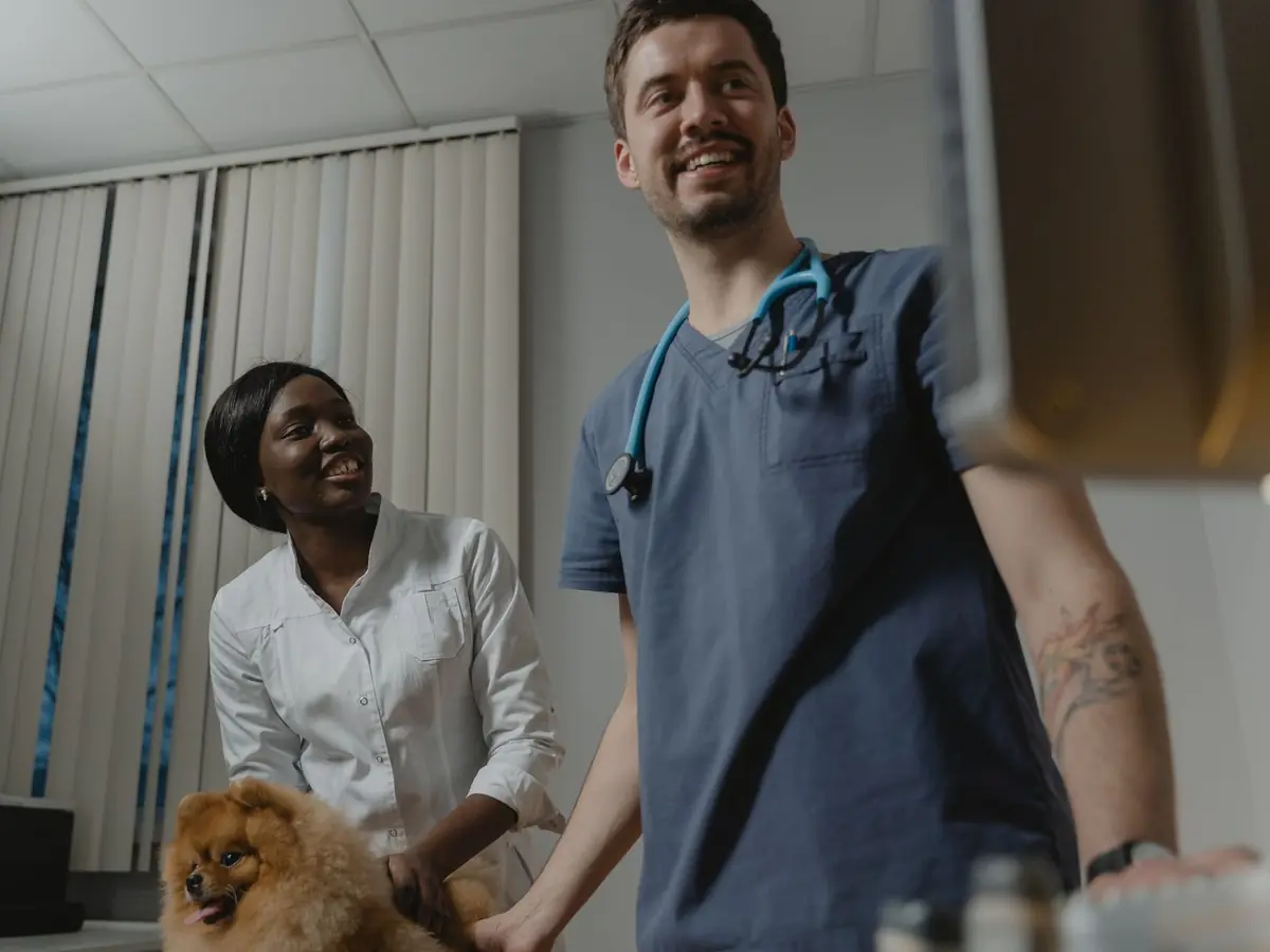 Two veterinary professionals smile while caring for a Pomeranian