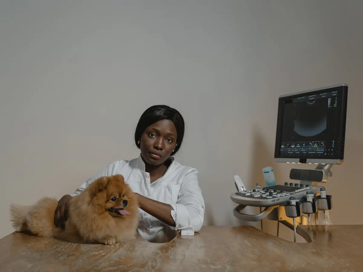A veterinarian sits beside a Pomeranian next to an ultrasound machine