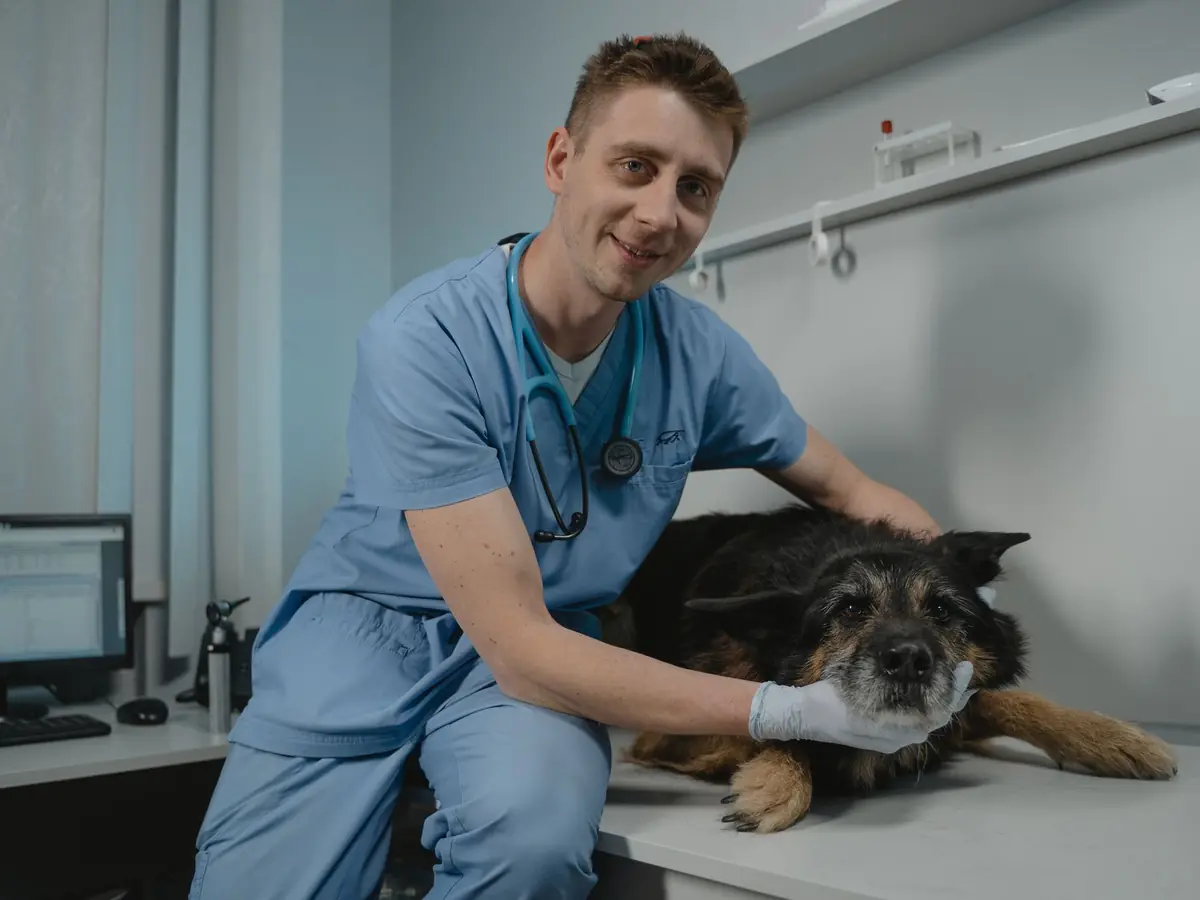 A veterinarian smiling while examining a dog beside a clinic workstation